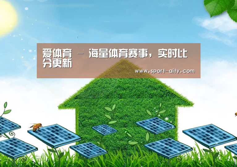 爱体育公司