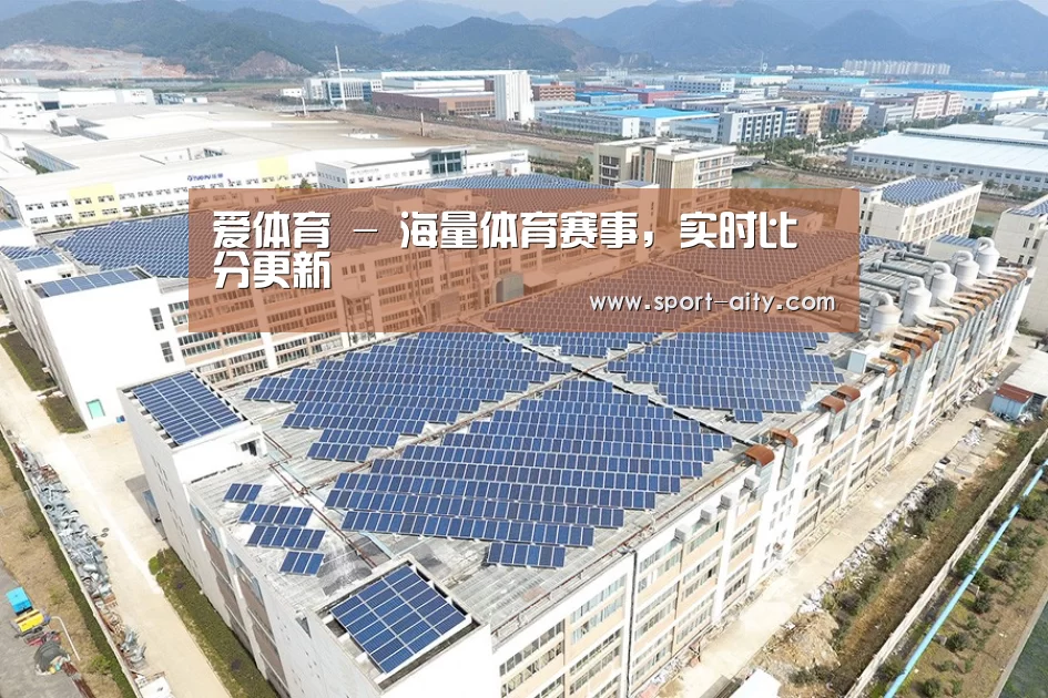 案例展示三