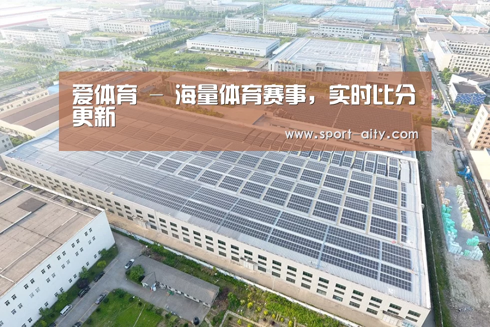 案例展示二