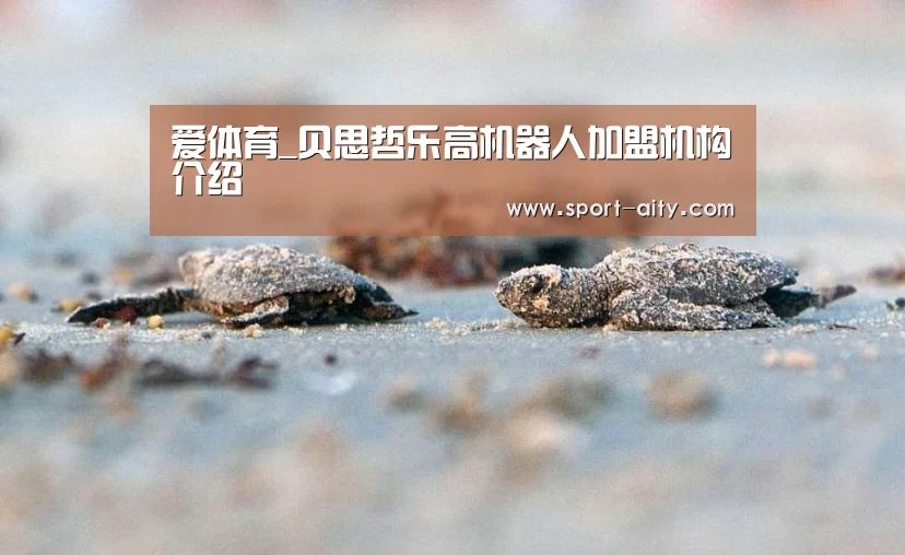 爱体育_贝思哲乐高机器人加盟机构介绍(图3) 爱体育
