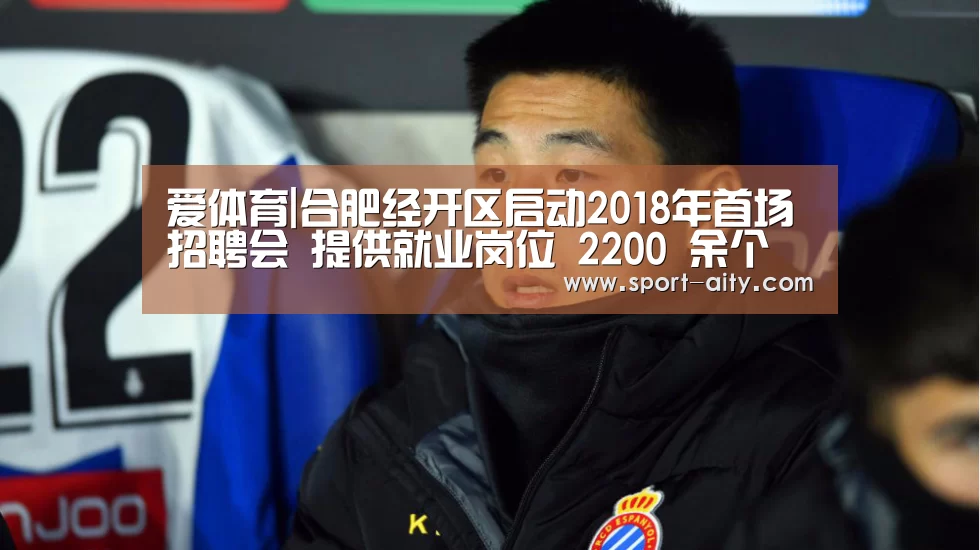 爱体育|合肥经开区启动2018年首场招聘会 提供就业岗位 2200 余个(图4) 爱体育