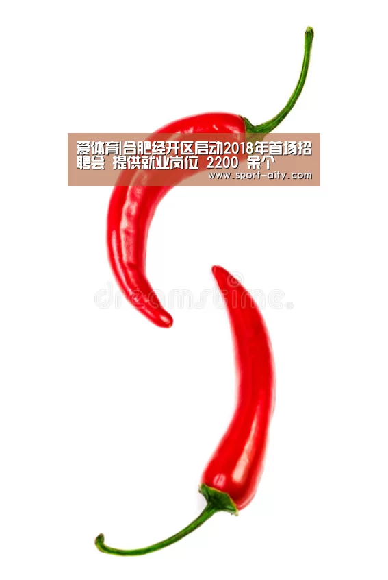 爱体育|合肥经开区启动2018年首场招聘会 提供就业岗位 2200 余个(图2) 爱体育